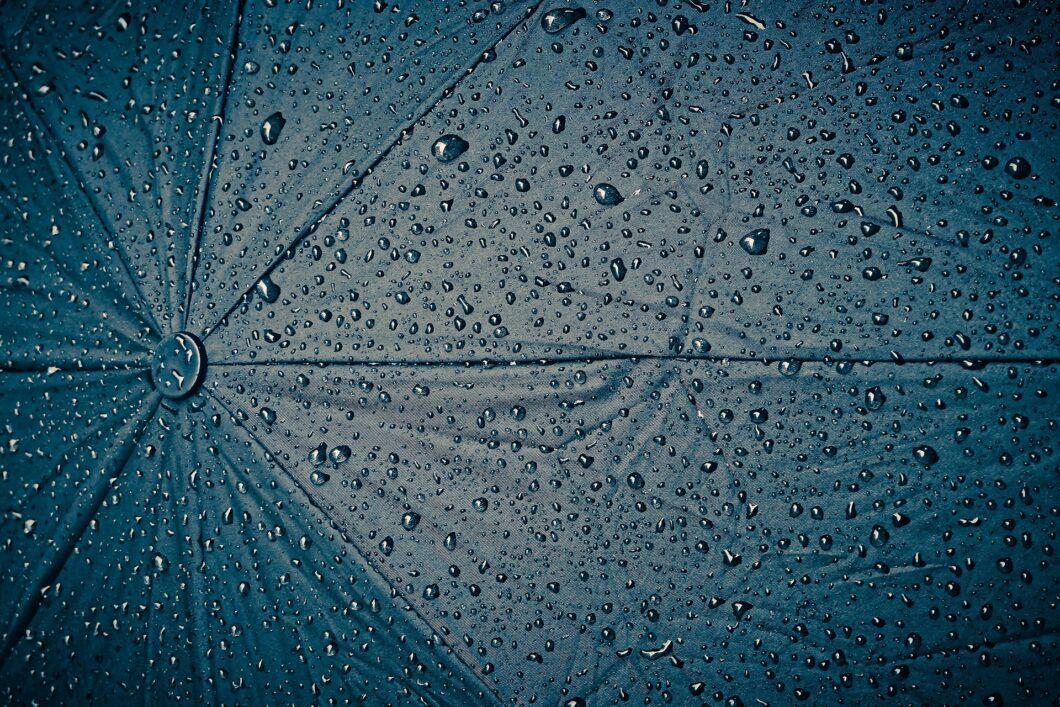 umbrella