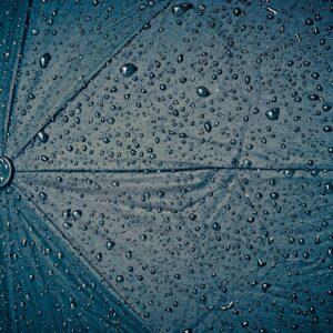 umbrella