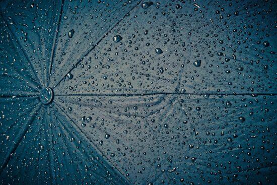 umbrella
