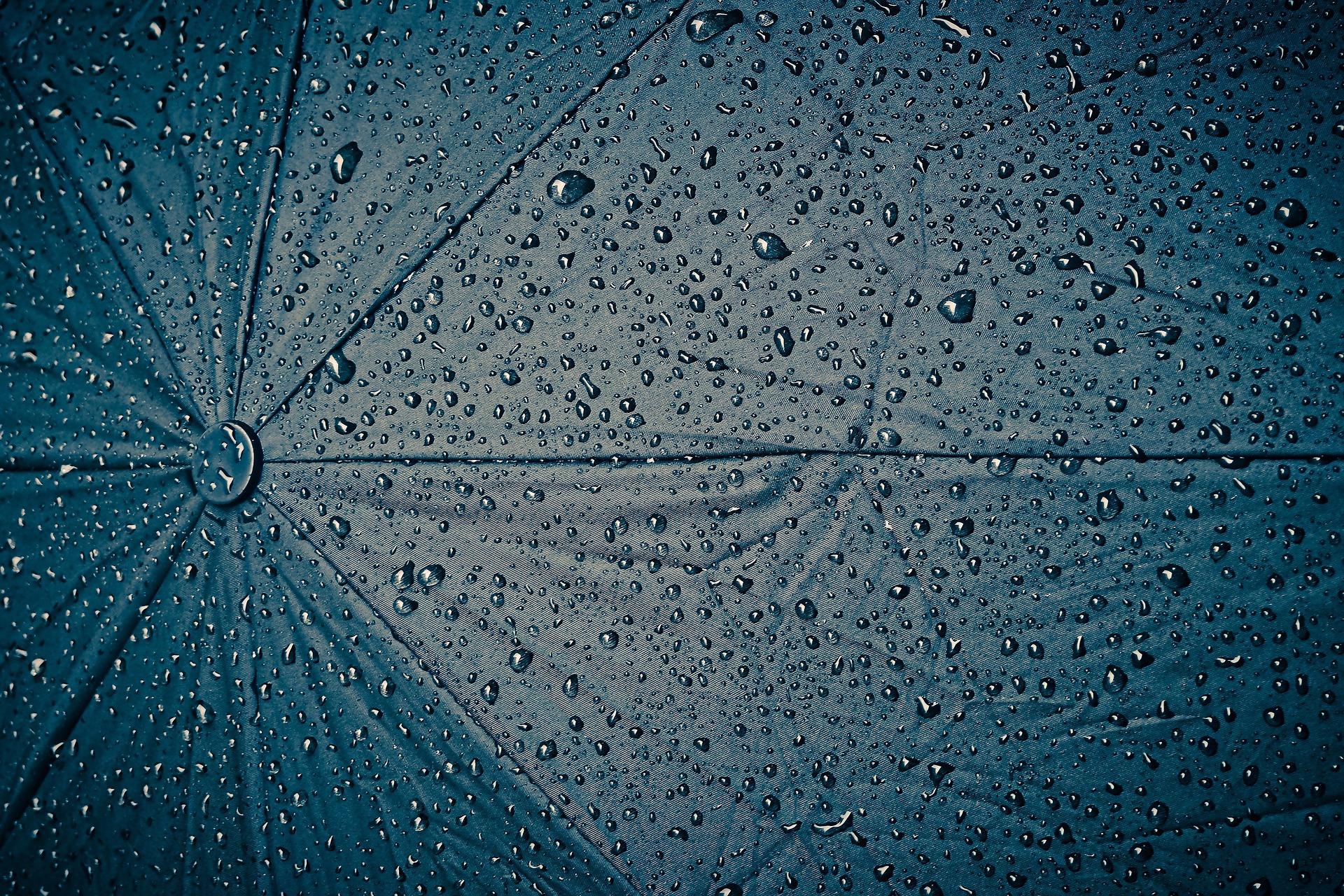 umbrella